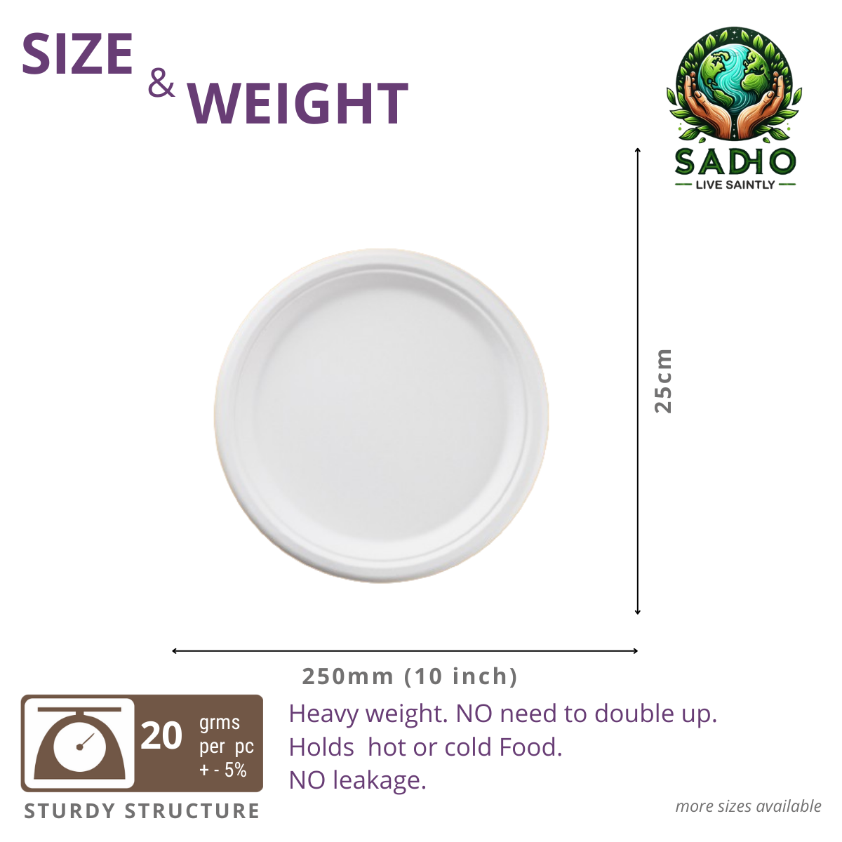 10 inch (25cm) Plates (Round) Bagasse (White)