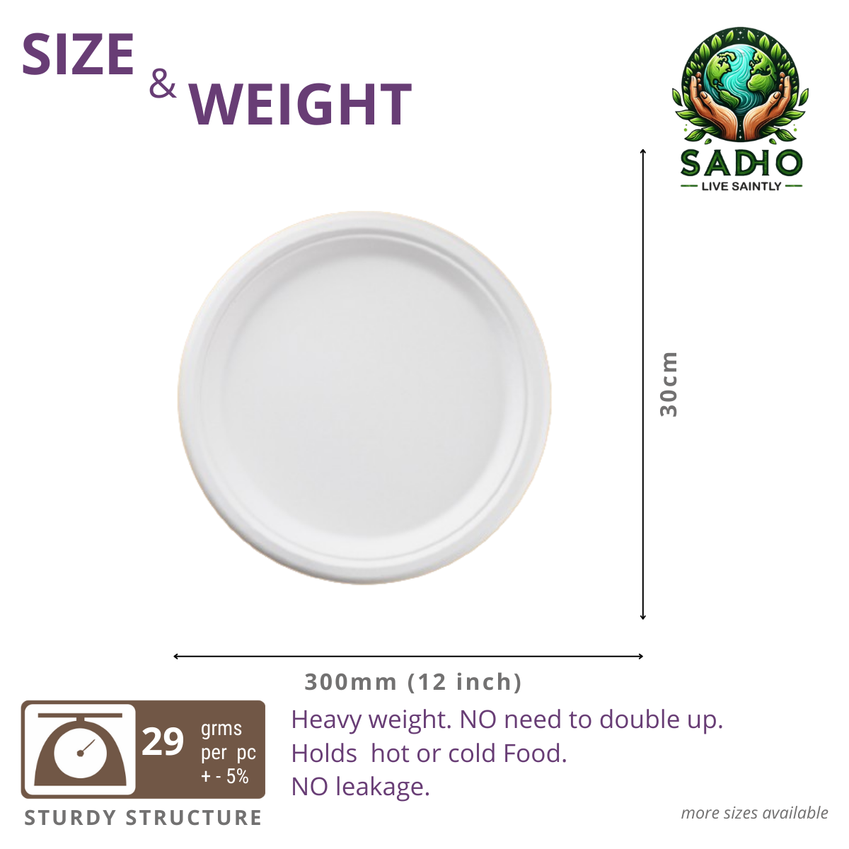 12 inch (30.5cm) Plates (Round) Bagasse (White)