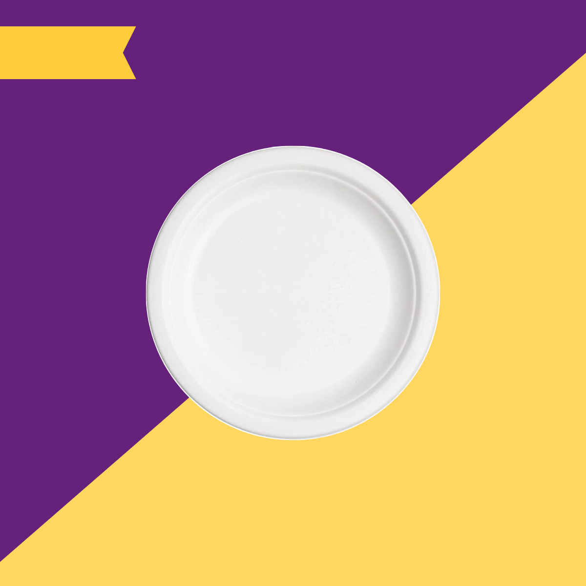 9 inch (23cm) Plates (Round) Bagasse (White)