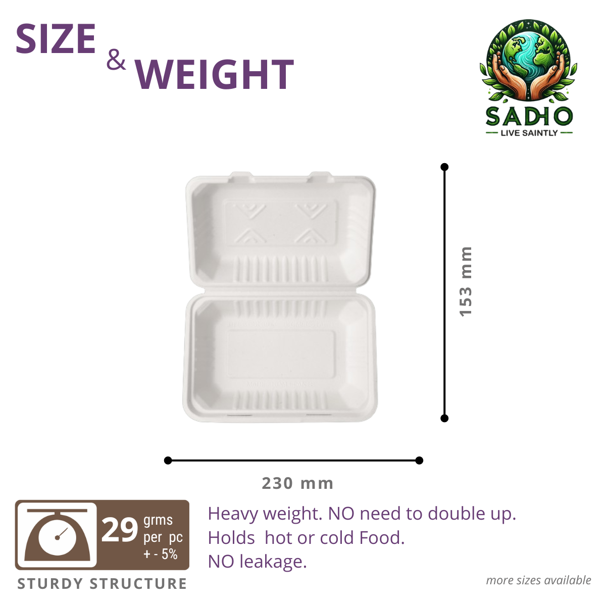 9X6 inch (23X15 cm) Clamshell Bagasse (White)
