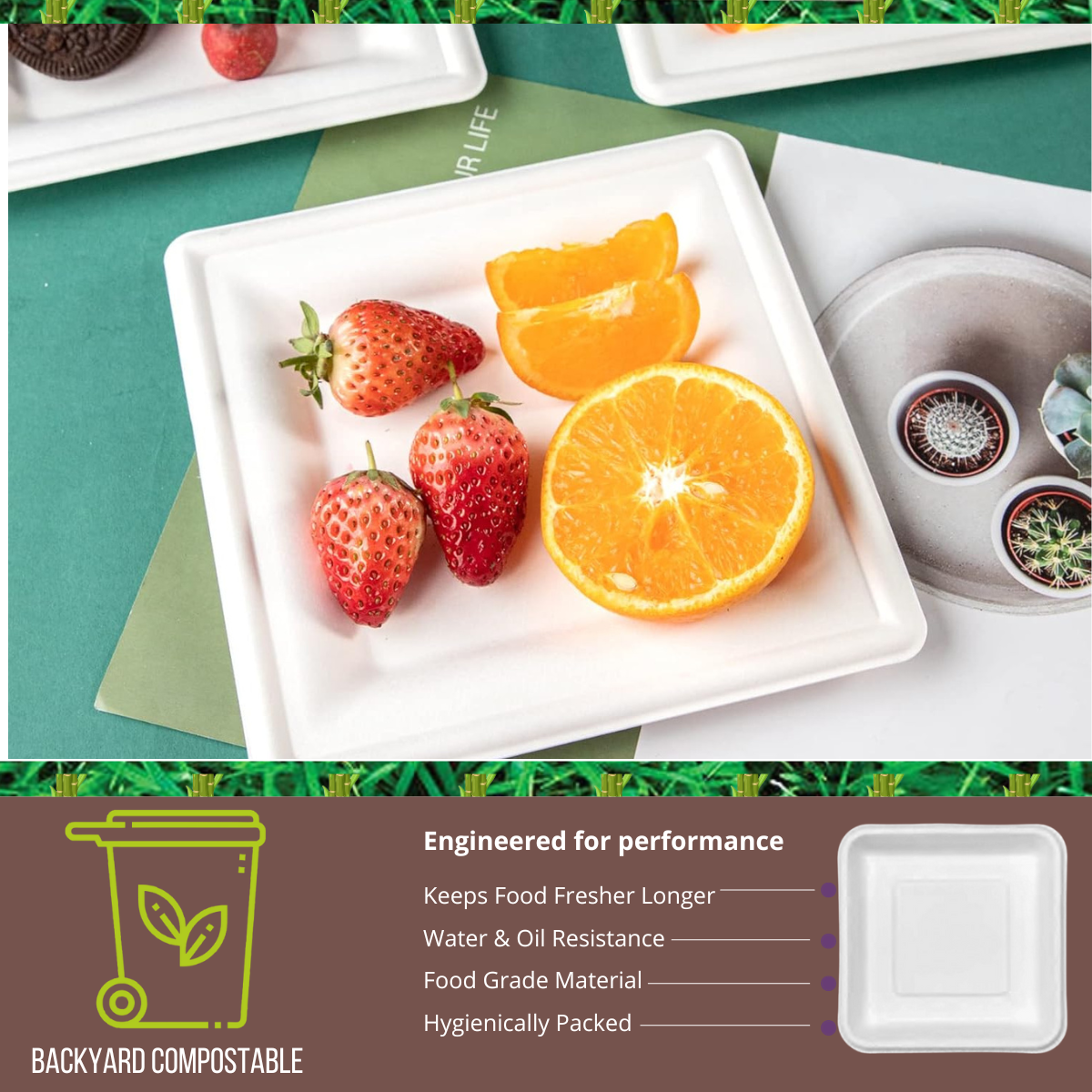 1D Square Tray Bagasse (White)