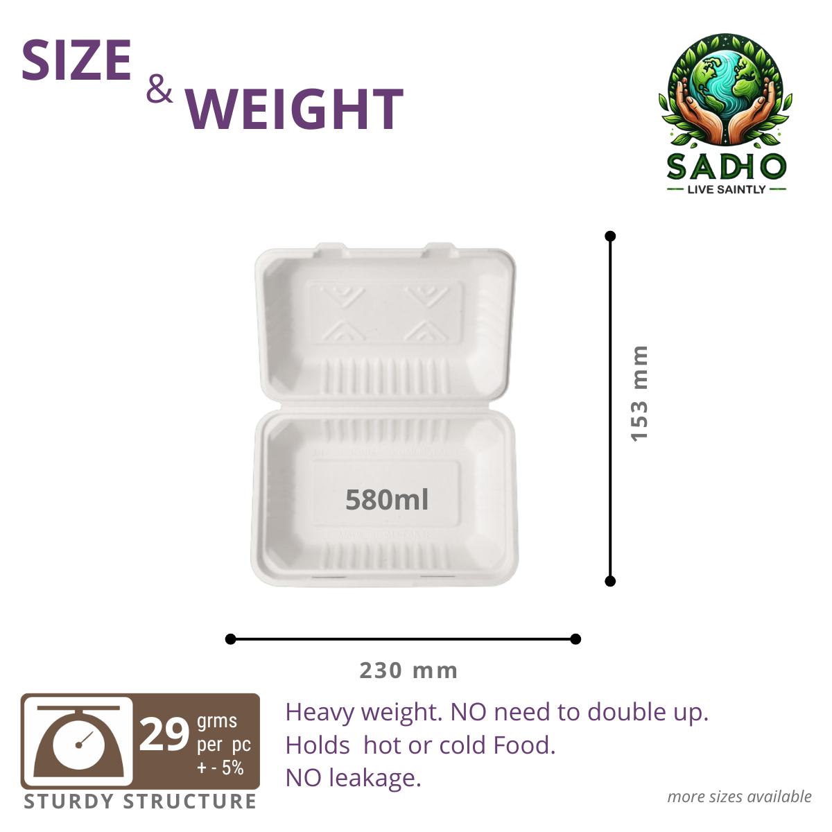 9X6 inch (23X15 cm) Clamshell Bagasse (White)