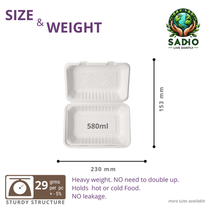 9X6 inch (23X15 cm) Clamshell Bagasse (White)